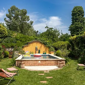 Le Rez De Jardin Albi